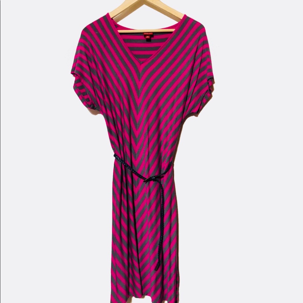 NWOT pink drey fun stripe belted dress